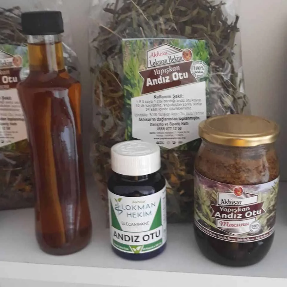 yapiskan_andiz_otu2